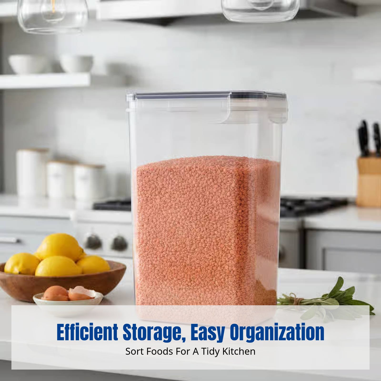 Food Storage Plastic Container - 밀폐 식품 보관 용기 세트, 대용량,
