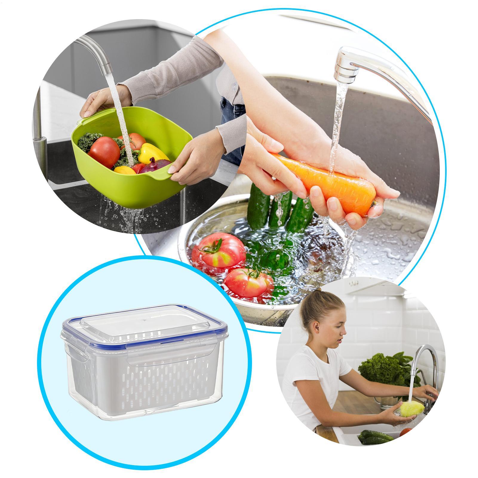 4 in 1 식품 보관 용기 4 in 1 누수 방지 투 - Food Storage Plastic Container 리뷰 및 가격