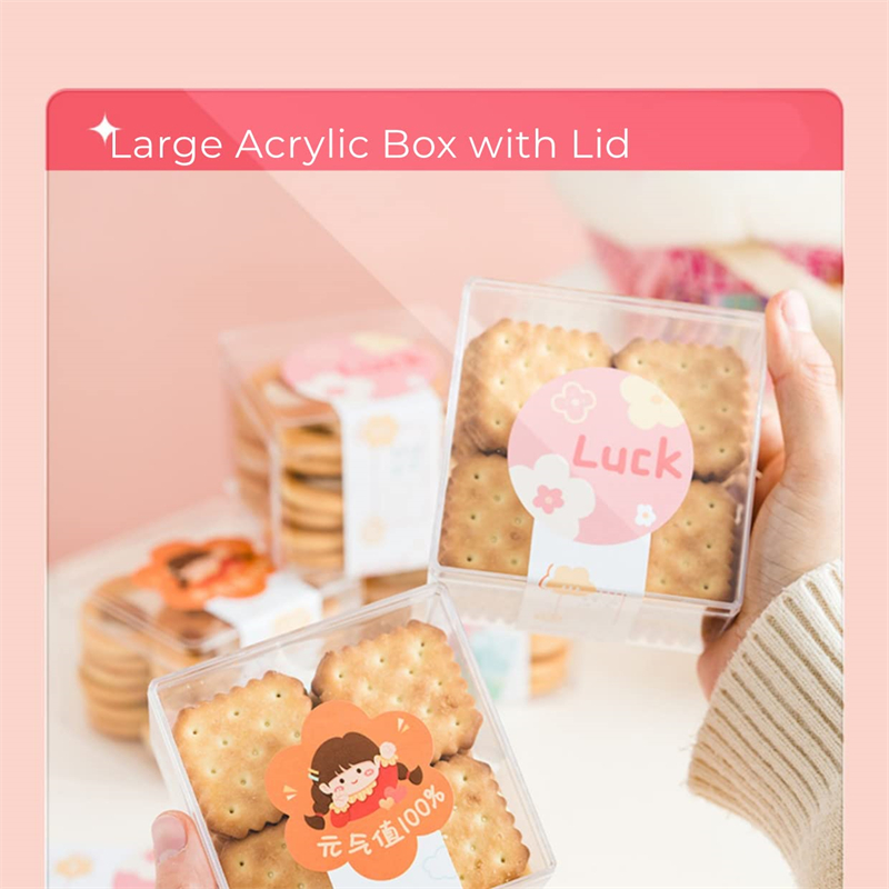 뚜껑이 있는 투명 아크릴 상자, 플라스틱 정리함 선물  - Xmas Food Storage Containers 리뷰 및 가격