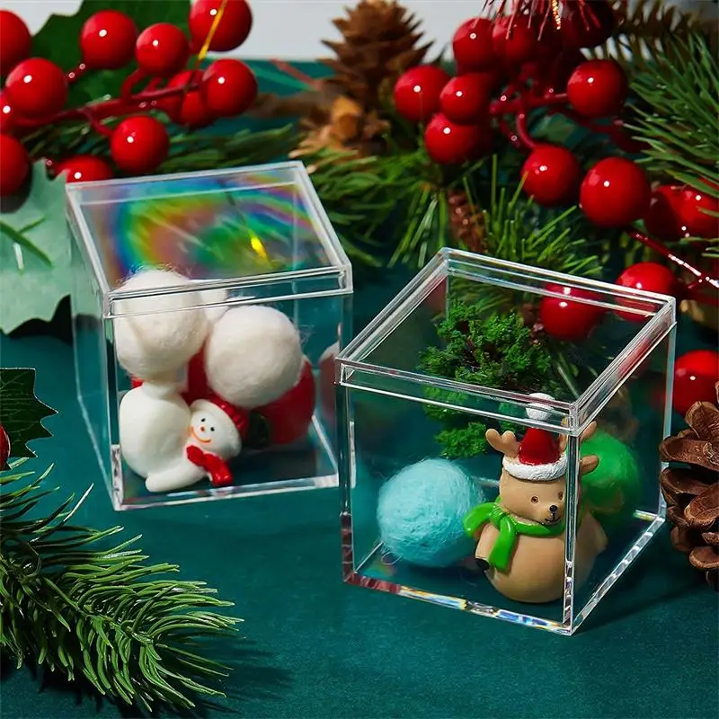 커버 플라스틱 주최자 선물 포장 상자와 12 PCS 투 - Xmas Food Storage Containers 리뷰 및 가격