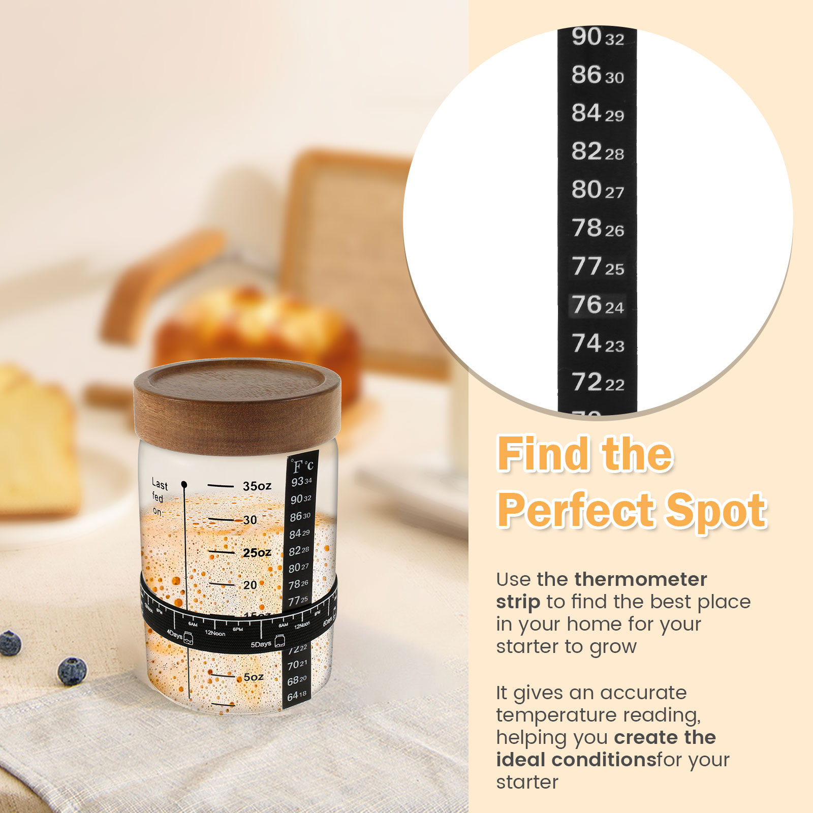 Sourdough 스타터 항아리 키트 1000ml 반죽 - Food Storage Tank 리뷰 및 가격