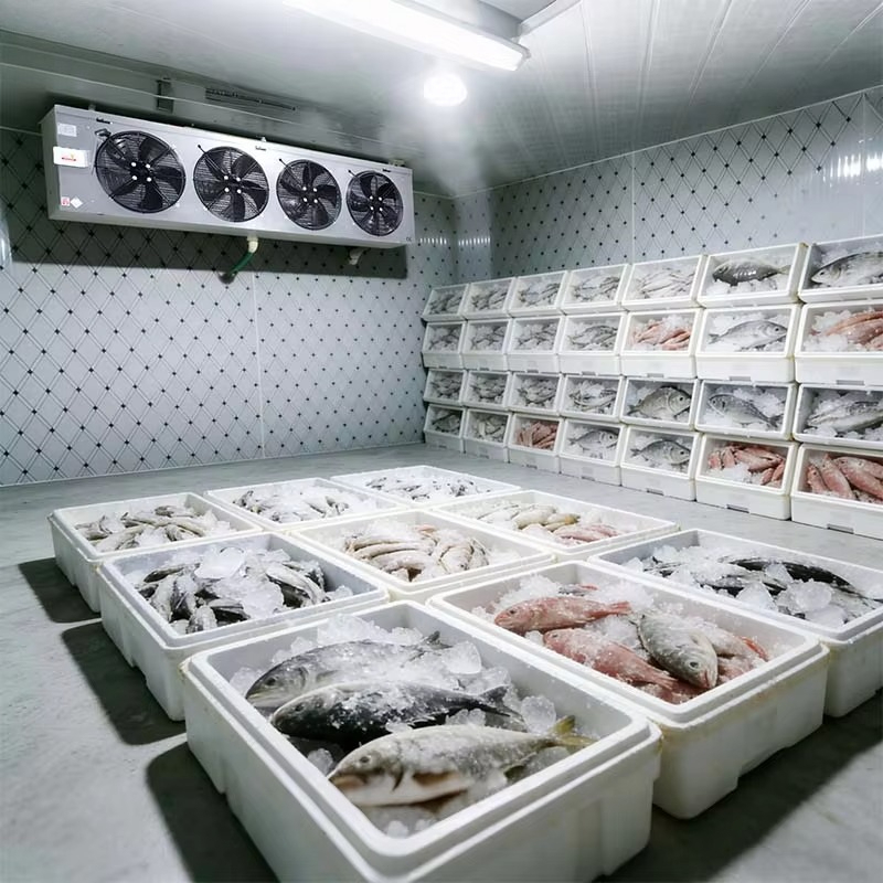 맞춤형 식품 등급 저온 저장실 위생적이고 청소가 쉬운  - Food Storage And Safety 리뷰 및 가격