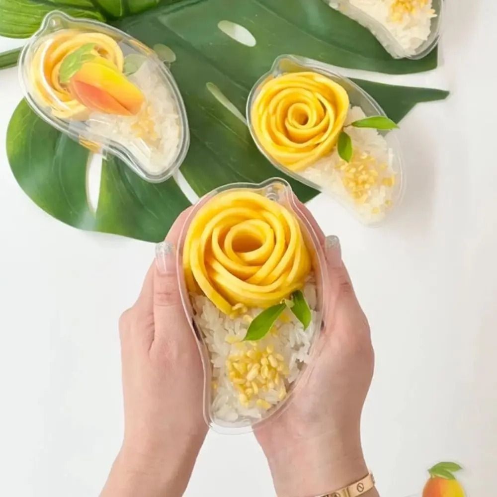 50pcs 투명한 망고 모양의 케이크 상자 뚜껑이 있는 - Food Storage Containers Xl 리뷰 및 가격